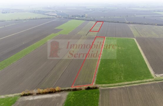 Terreno Agricolo in Felonica